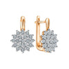 Brinco Crystal Imperial - Sua Boutique