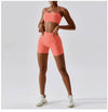 Conjunto Fitness Top e Shorts Gabriela - Sua Boutique