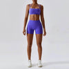 Conjunto Fitness Top e Shorts Gabriela - Sua Boutique